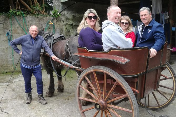 Ring of Kerry Tour Private Chauffeur Driven From Killarney - Sneem offers a short village break