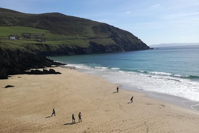 Ring of Kerry Tour Private Chauffeur Driven From Killarney - Kerry Cliffs and the view toward the Skelligs