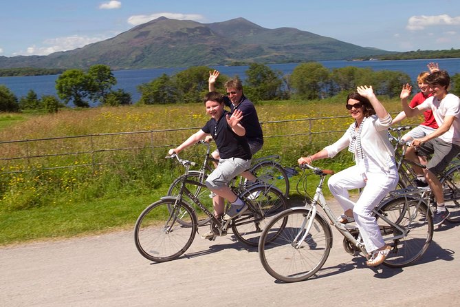 Self-Guided Bike Tour of Killarney National Park, Muckross Gardens & Waterfall - Muckross Abbey and its remarkable yew tree