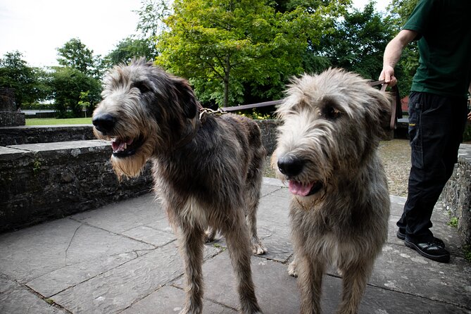 Skip the Line: Bunratty Castle and Folk Park Admission Ticket - How long should you allow?