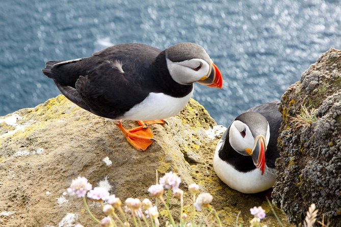 Small Group - Cliffs Cruise, Aran Islands AND Connemara in One Day from Galway - Why the Cliffs of Moher look different from the water