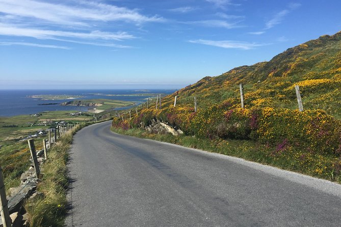 Sustainable Connemara and Galway Bay Rail Tour from Dublin - Roundstone Harbor and Galway Bay