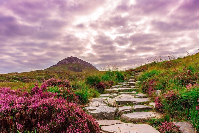 Sustainable Connemara and Galway Bay Rail Tour from Dublin - The return train and the very long day
