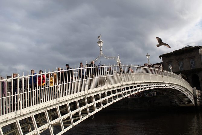 The Dublin Private Walking Tour - Government buildings and Leinster House
