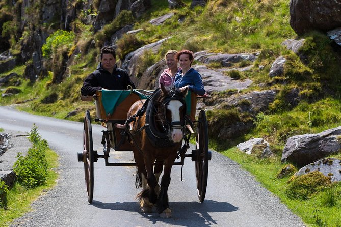 The Gap of Dunloe Full-Day Tour from Killarney - The three Killarney lakes by boat
