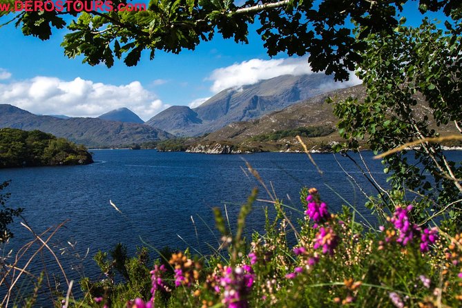 The Gap of Dunloe Full-Day Tour from Killarney - Ross Castle, and what you can actually see