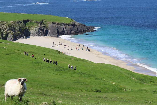 The Great Blasket Island Experience - Premium Tour - Leaving Dingle at 11am