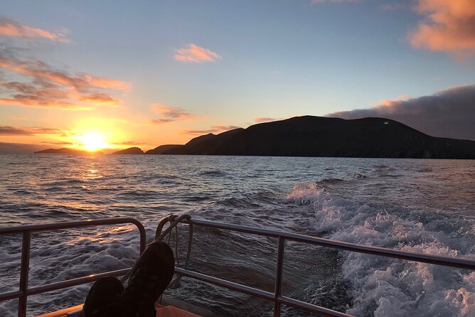 The Great Blasket Island Experience - Premium Tour - Choosing Your Walk on the Island
