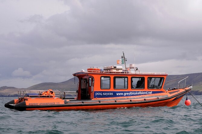 The Great Blasket Island Experience - Premium Tour - Landing on Great Blasket Island