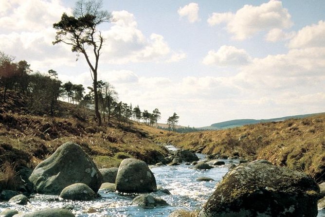 The Original Award Winning Wild Wicklow Tour incl. Glendalough - Glencree and Sally Gap take you off the usual coach route