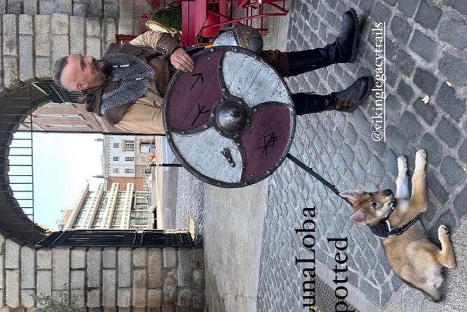 Walking Tour of Dublin’s Viking/Medieval Quarter with a Viking - How much history will you get?